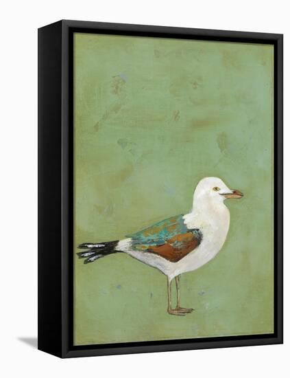 Vibrant Shorebird II-Mehmet Altug-Framed Stretched Canvas