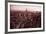 Vibrant Skyline-James Leynse-Framed Giclee Print