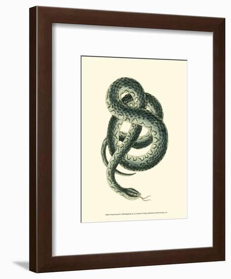 Vibrant Snake III-Frederick P^ Nodder-Framed Art Print