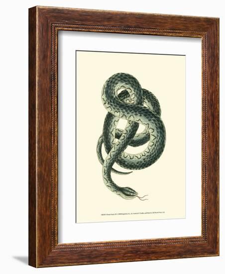 Vibrant Snake III-Frederick P^ Nodder-Framed Art Print