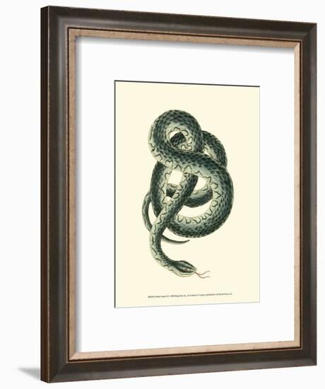 Vibrant Snake III-Frederick P^ Nodder-Framed Art Print