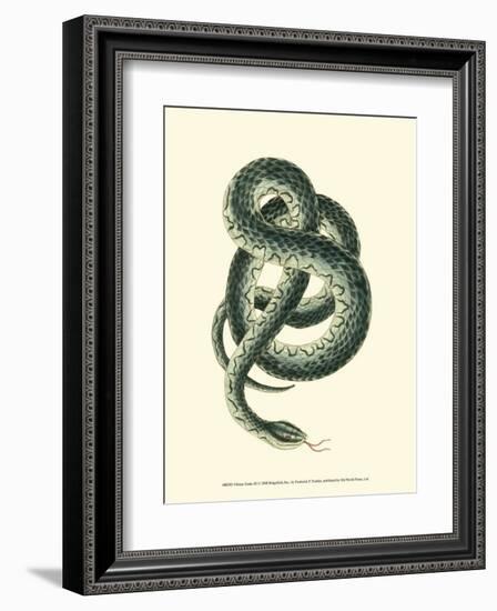 Vibrant Snake III-Frederick P^ Nodder-Framed Art Print