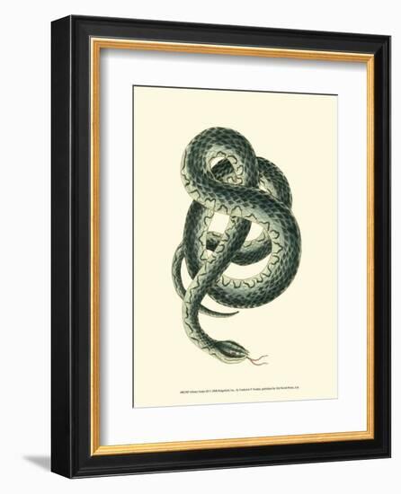 Vibrant Snake III-Frederick P^ Nodder-Framed Art Print