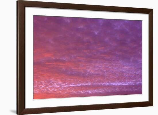 Vibrant Summer Sunset, Inside Passage North of Campbell River, Vancouver Island, Northern British C-Stuart Westmorland-Framed Photographic Print