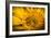 Vibrant Yellow and Orange Macro of a Sunflower-Daniil Belyay-Framed Photographic Print