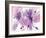 Vibrant-Albena Hristova-Framed Art Print