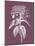 Viburnum Blush Purple Flower-Jasmine Woods-Mounted Art Print