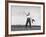 Vice Presidential Candidate Henry A. Wallace, Throwing a Boomerang in a Field-Thomas D^ Mcavoy-Framed Premium Photographic Print