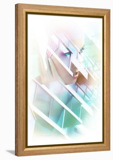 Vice-null-Framed Stretched Canvas