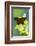 Viceroy Butterfly That Mimics the Monarch Butterfly-Darrell Gulin-Framed Photographic Print