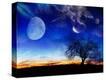 Stretched Canvas Print