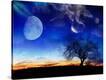 Stretched Canvas Print
