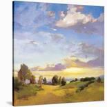 Golden Horizons-Vicki Mcmurry-Stretched Canvas