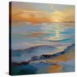 Wandering Water-Vicki Mcmurry-Stretched Canvas