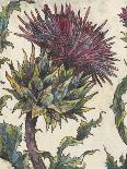 Spear Thistle - Gauche-Vicky Oldfield-Mounted Giclee Print