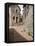 Vicoli, Side Streets, Assisi, Umbria, Italy, Europe-Olivieri Oliviero-Framed Premier Image Canvas