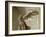 Victoire de Samothrace-null-Framed Giclee Print