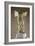 Victoire de Samothrace-null-Framed Giclee Print