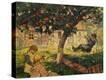 Stretched Canvas Print