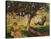 Stretched Canvas Print