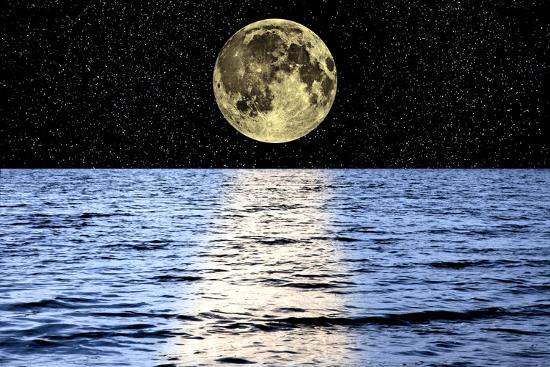 Photographic Print, , large