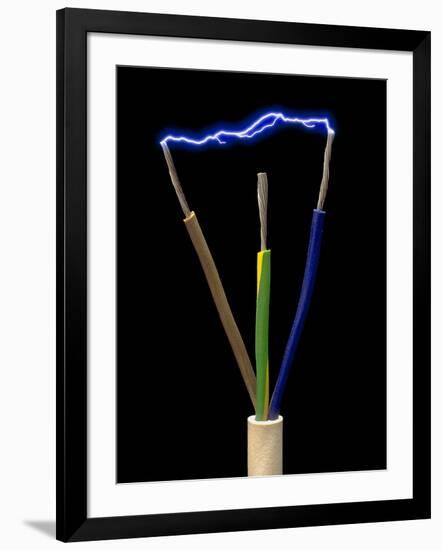 Photographic Print, , large