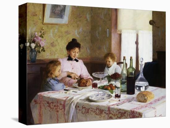 Stretched Canvas Print, , large