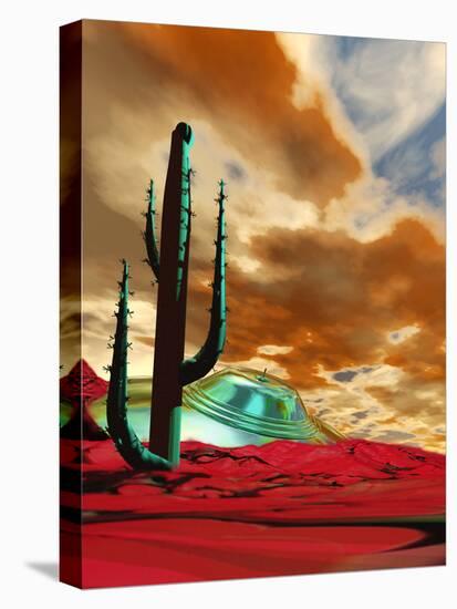 Stretched Canvas Print, , large
