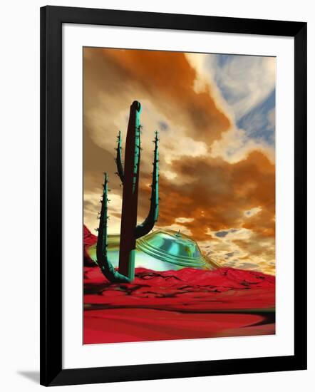Photographic Print, , large