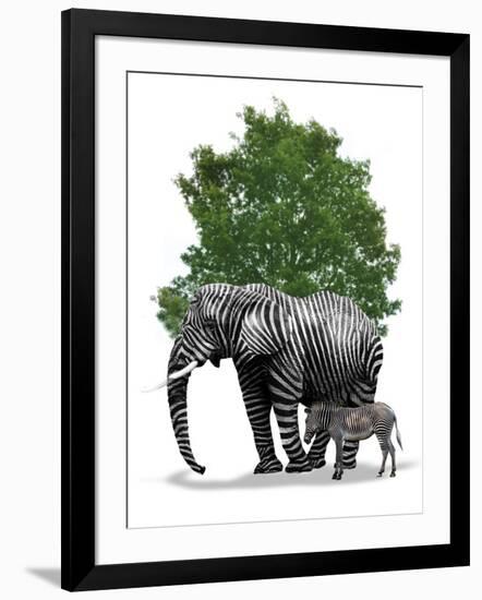 Photographic Print, , large