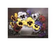Daisies and Delphiniums-Victor Santos-Framed Giclee Print
