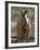 Victoria, A Wallaby and Her Joey on Phillip Island, Australia-Nigel Pavitt-Framed Photographic Print