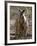 Victoria, A Wallaby and Her Joey on Phillip Island, Australia-Nigel Pavitt-Framed Photographic Print