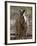 Victoria, A Wallaby and Her Joey on Phillip Island, Australia-Nigel Pavitt-Framed Photographic Print