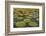 Victoria Amazonica Lily Pads on Rupununi River, Southern Guyana-Keren Su-Framed Photographic Print