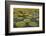 Victoria Amazonica Lily Pads on Rupununi River, Southern Guyana-Keren Su-Framed Photographic Print