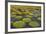 Victoria Amazonica Lily Pads on Rupununi River, Southern Guyana-Keren Su-Framed Photographic Print