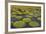 Victoria Amazonica Lily Pads on Rupununi River, Southern Guyana-Keren Su-Framed Photographic Print