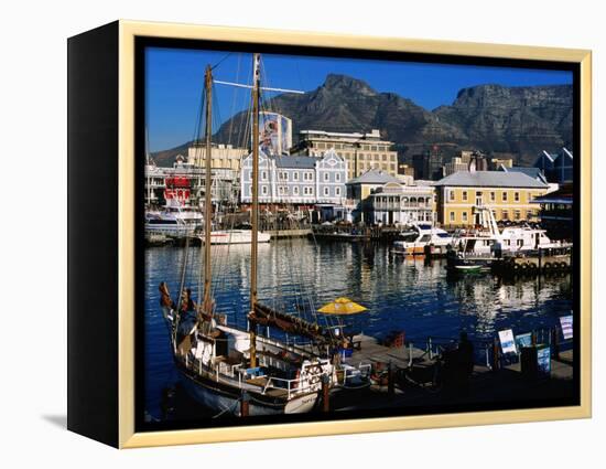 Victoria and Alfred Waterfront, Cape Town, South Africa-Ariadne Van Zandbergen-Framed Premier Image Canvas