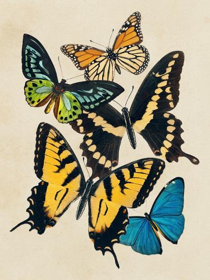 Art Print, , large