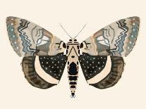 Neutral Moth I-Victoria Barnes-Art Print