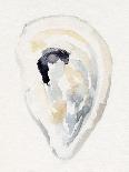 Oyster Shell Watercolor I-Victoria Barnes-Art Print