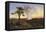 Victoria Falls at Sunrise-Thomas Baines-Framed Premier Image Canvas