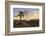 Victoria Falls at Sunrise-Thomas Baines-Framed Photographic Print