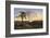 Victoria Falls at Sunrise-Thomas Baines-Framed Photographic Print