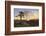 Victoria Falls at Sunrise-Thomas Baines-Framed Photographic Print