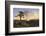 Victoria Falls at Sunrise-Thomas Baines-Framed Photographic Print