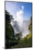 Victoria Falls water and drops in the air. Zambezi National Park. Zimbabwe.-Tom Norring-Mounted Photographic Print