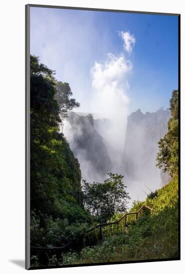 Victoria Falls water and drops in the air. Zambezi National Park. Zimbabwe.-Tom Norring-Mounted Photographic Print