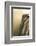 Victoria Falls, Zimbabwe/Zambia-Paul Joynson Hicks-Framed Photographic Print